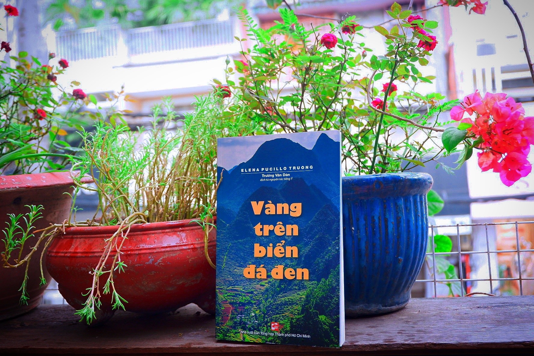 Du ky Viet Nam va the gioi luot qua nhung trang sach anh 3