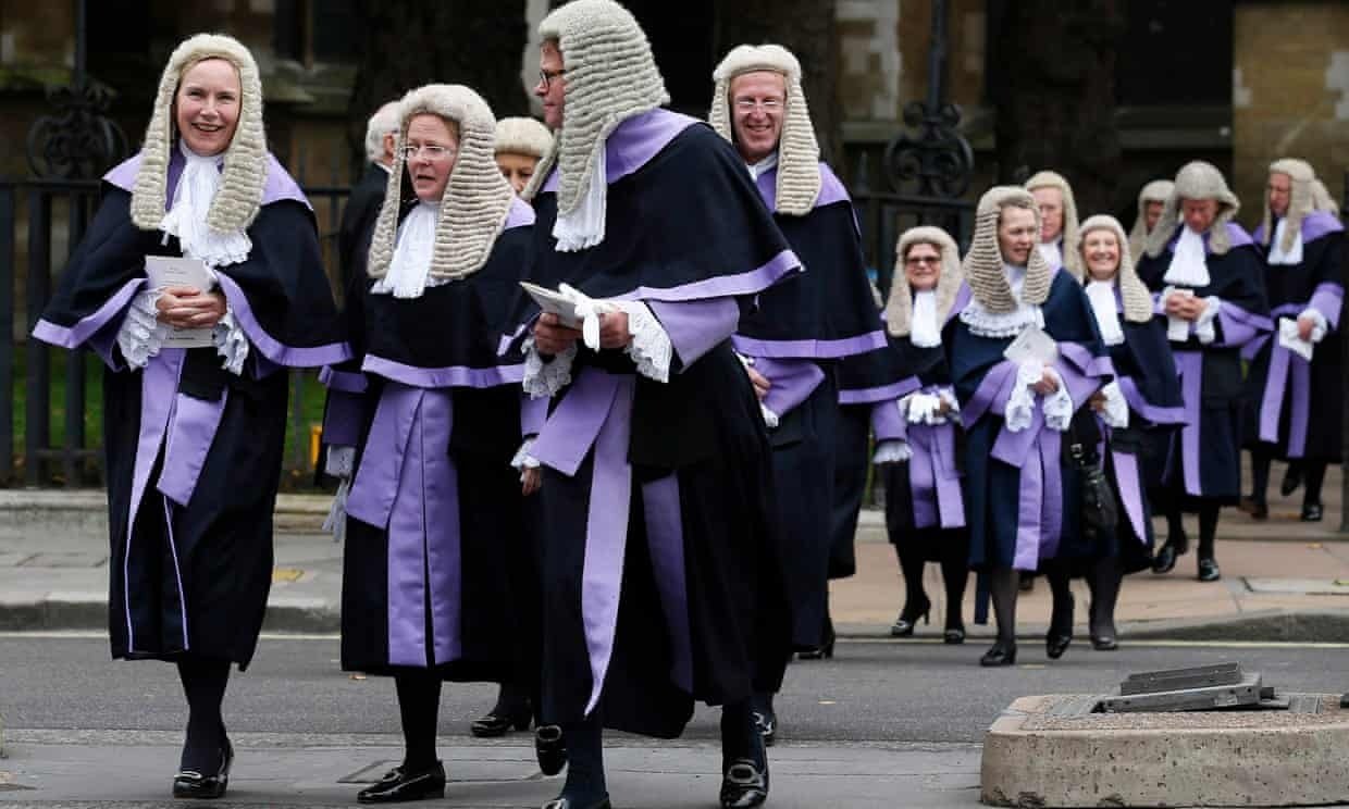 Loai hoa hong nao la bieu tuong cua Vuong quoc Anh? anh 4