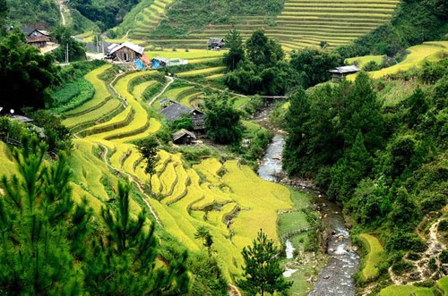 Tu luc van doan anh 7