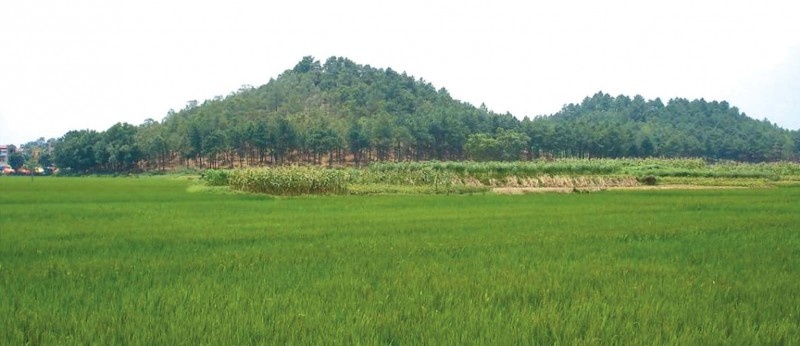 Mi da giai thoat A Phu trong dem thuoc mua nao trong nam? anh 5