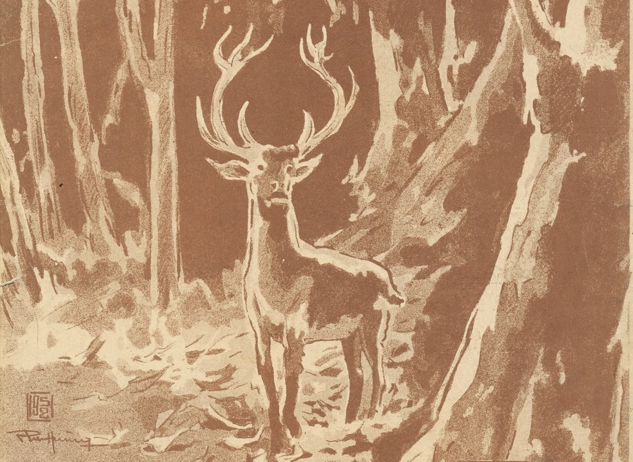 Mi da giai thoat A Phu trong dem thuoc mua nao trong nam? anh 7