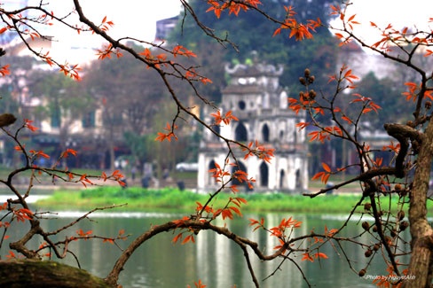 Dan day duoc su dung trong loai hinh nghe thuat nao? anh 5