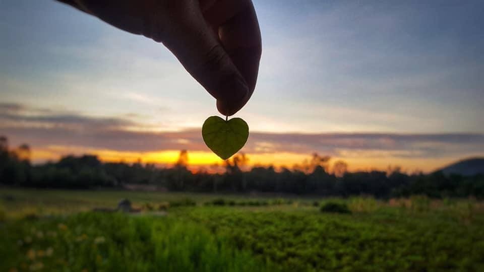 Xep noi nho vao, duoc khong? hinh anh