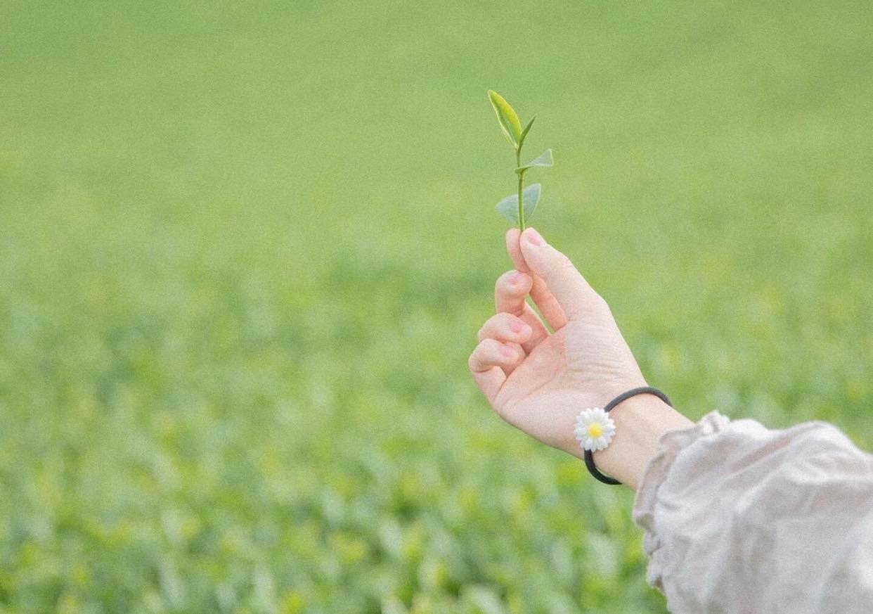 Tu luc nao? hinh anh