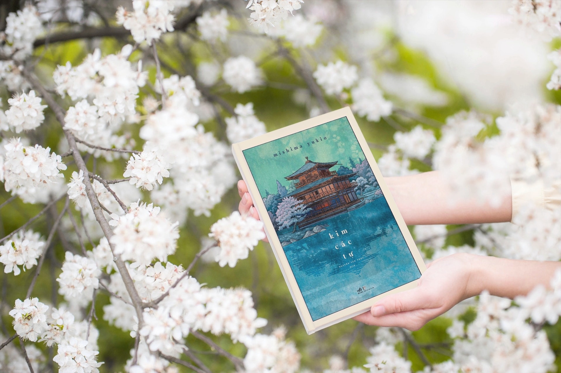 Khi cai dep dan den tu huy hinh anh