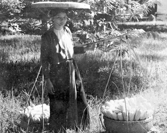 Duong di loi lai anh 2