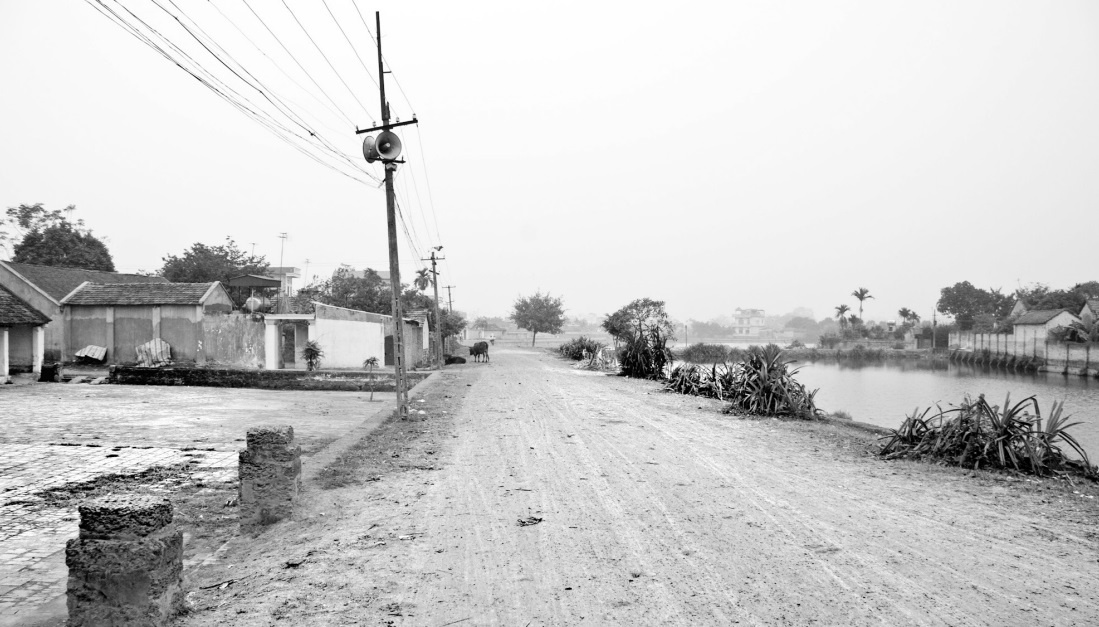 Duong di loi lai cua nguoi Viet anh 1