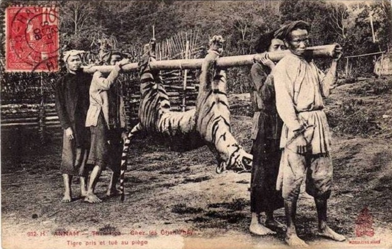 Mot cau chuyen san cop dat Khanh Hoa anh 2