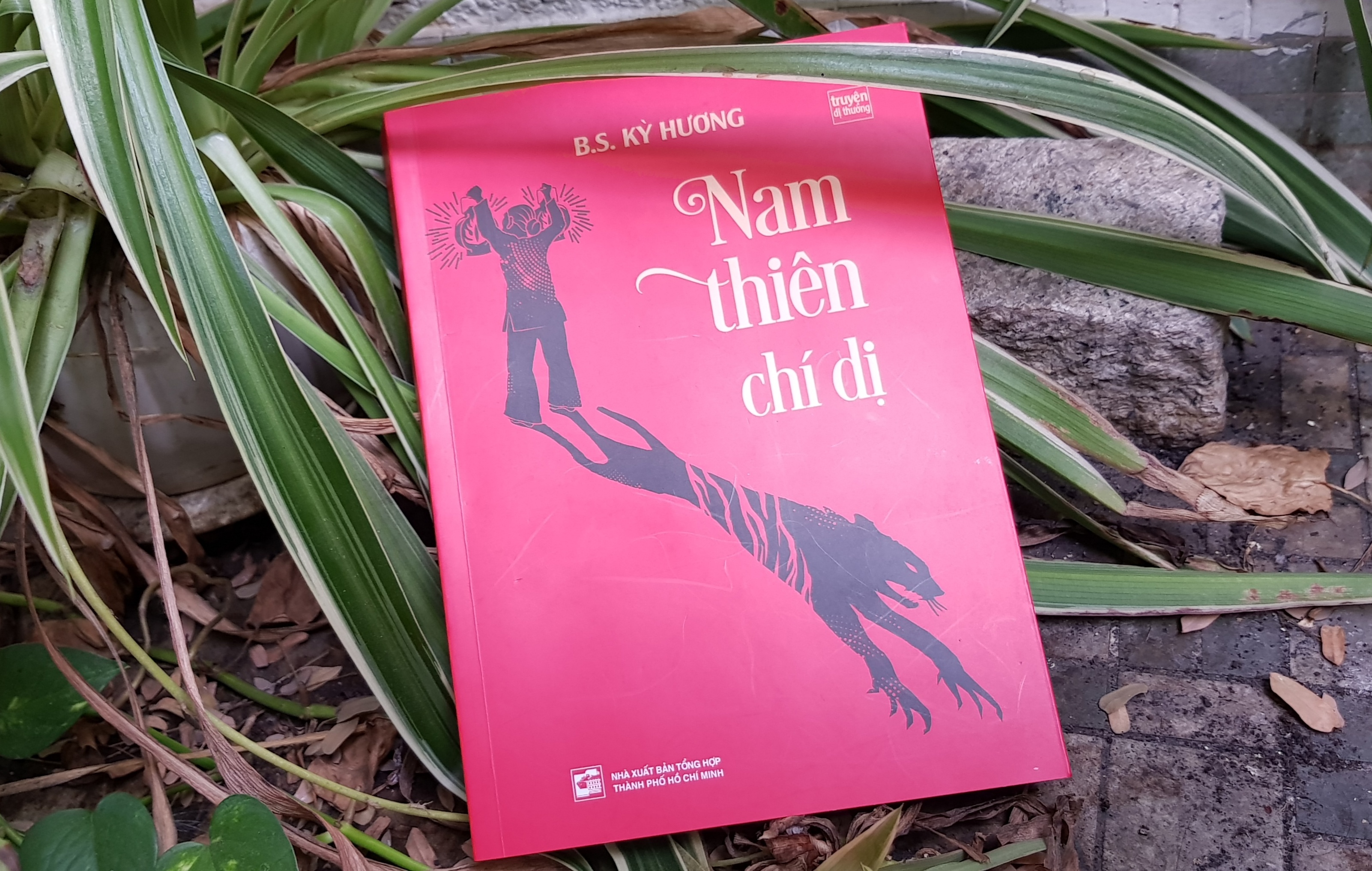 Dem khuya doc truyen di thuong 'Nam thien chi di' hinh anh