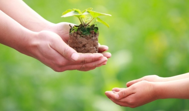 Gieo hat giong tot dep hinh anh