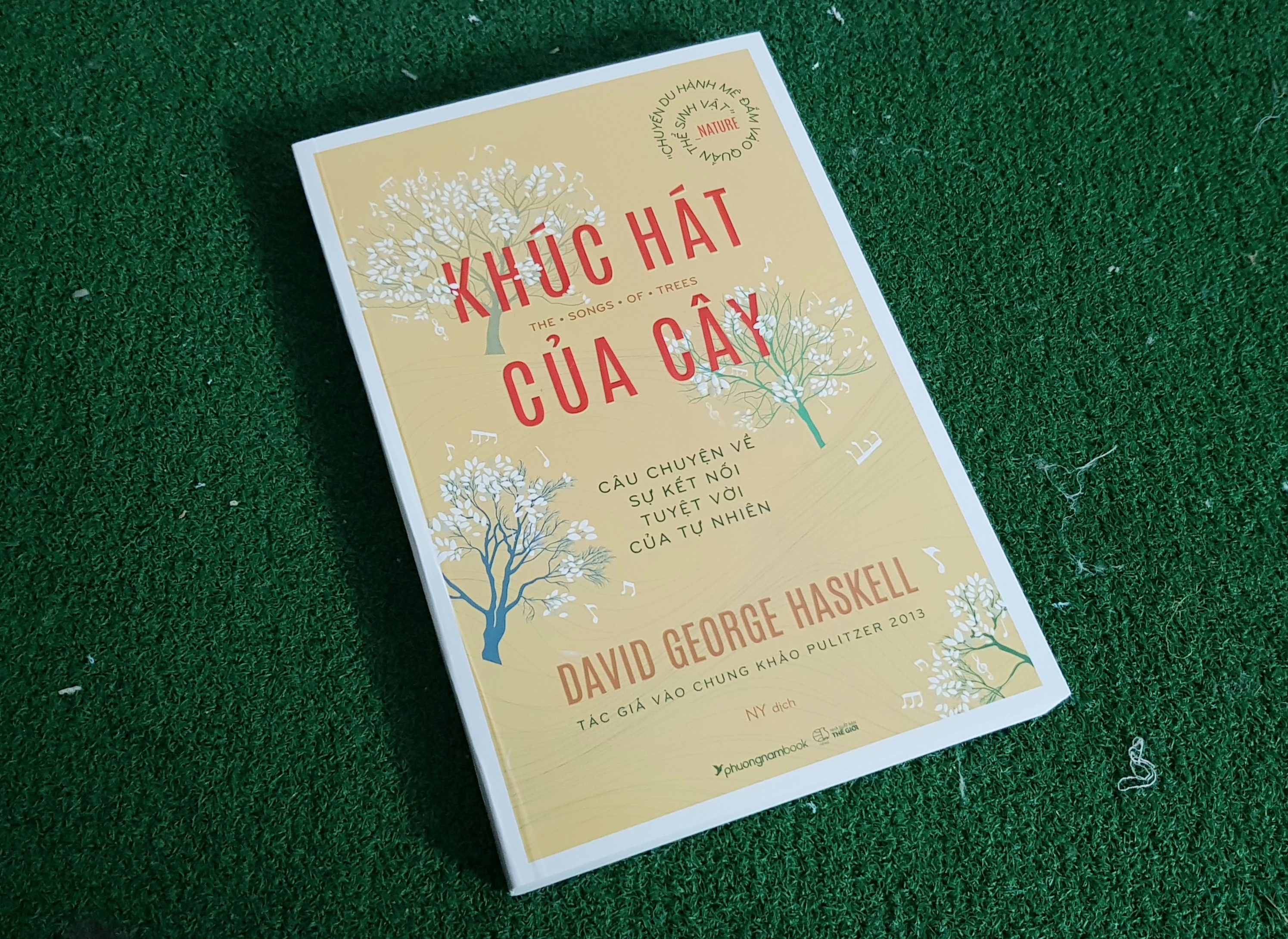 Lang nghe 'Khuc hat cua cay' anh 1