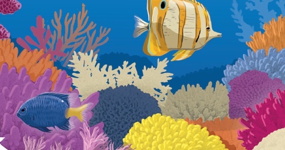 The gioi huyen bi duoi bien sau hinh anh