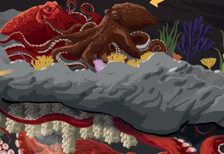 The gioi bien sau anh 1