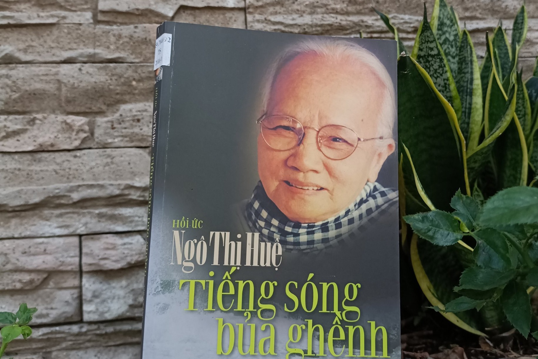 Khoi nghia Nam Ky trong hoi uc cua ba Ngo Thi Hue hinh anh
