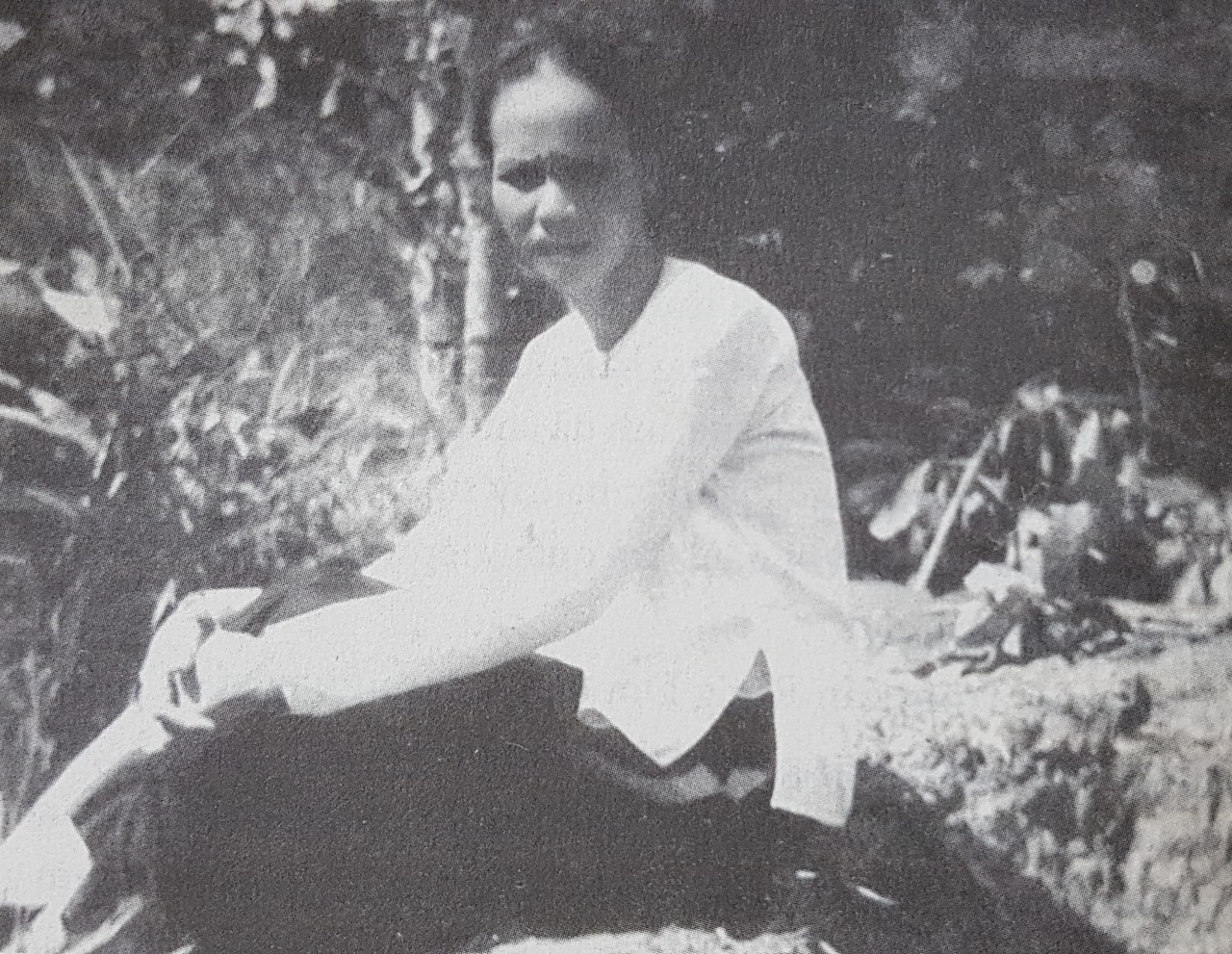 Kien cuong truoc nhung don thu chon lao tu hinh anh