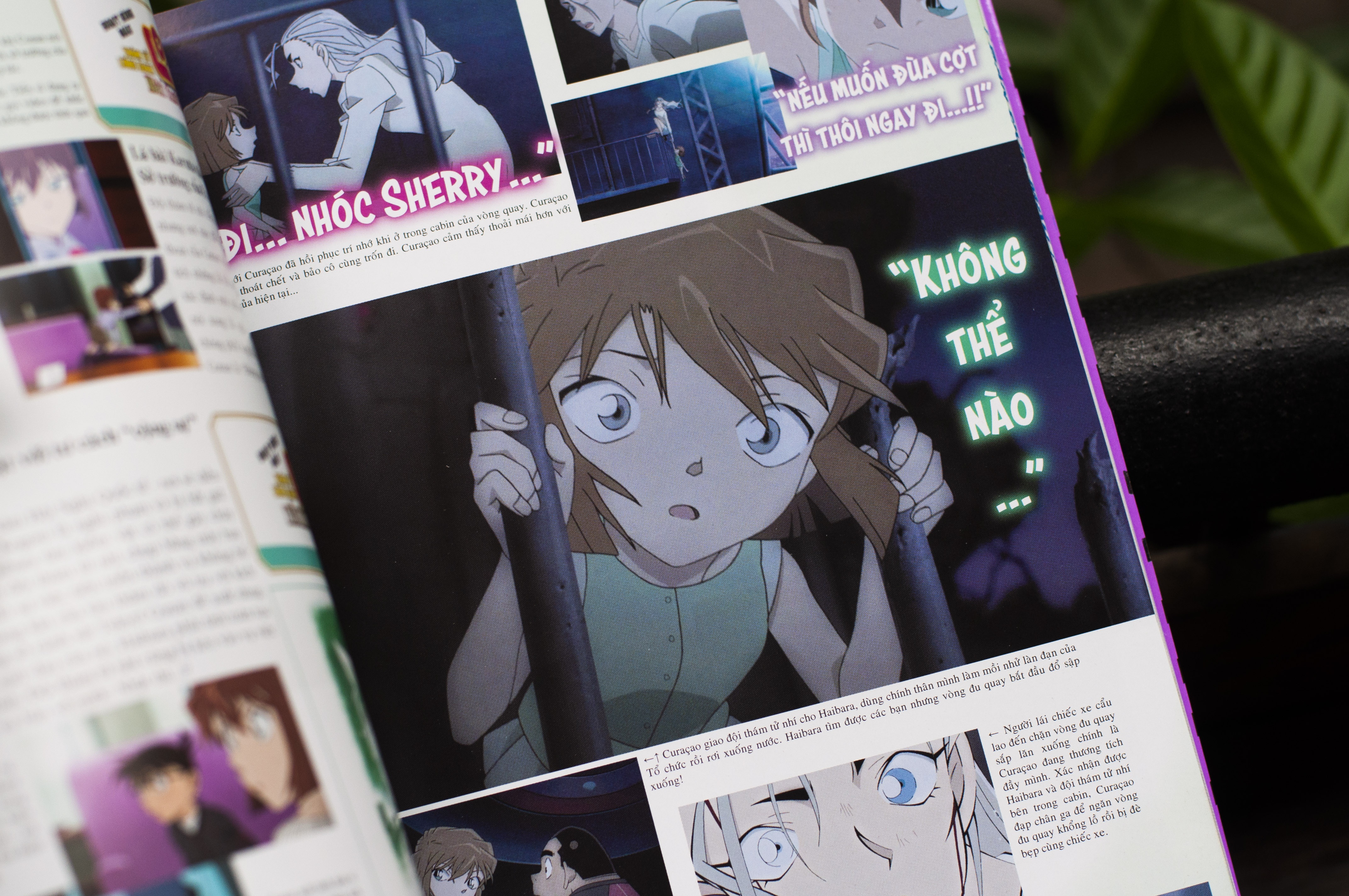 Conan Ho so tuyet mat anh 2