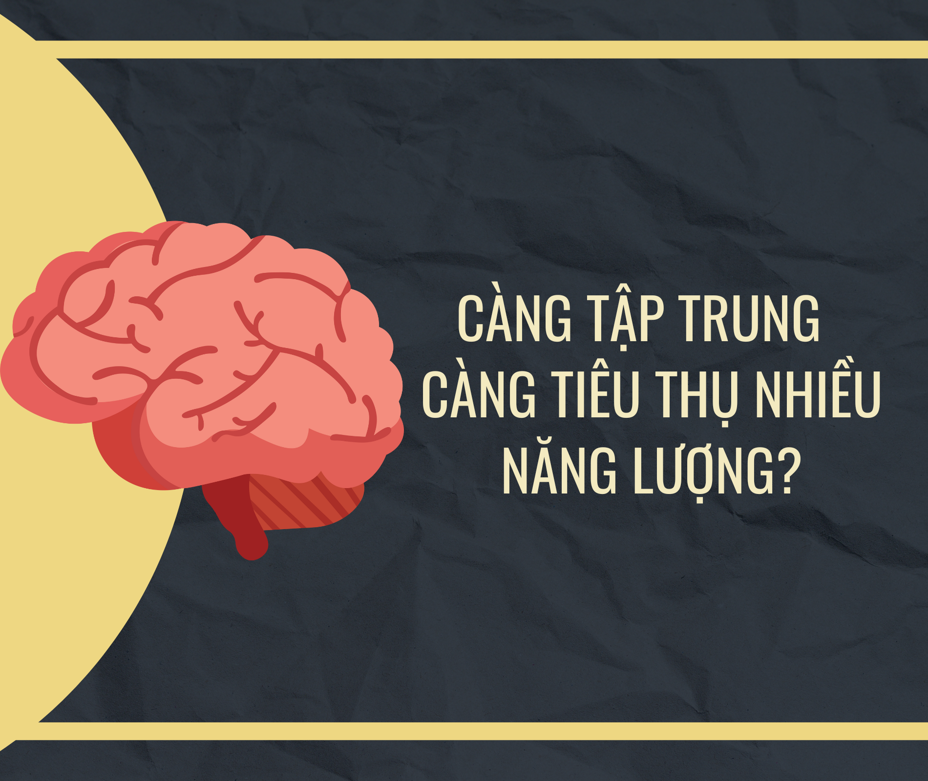 Su that ve bo nao anh 1