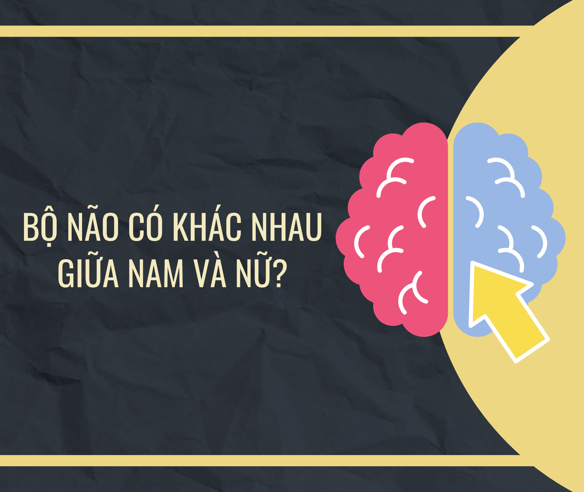 Su that ve bo nao anh 4