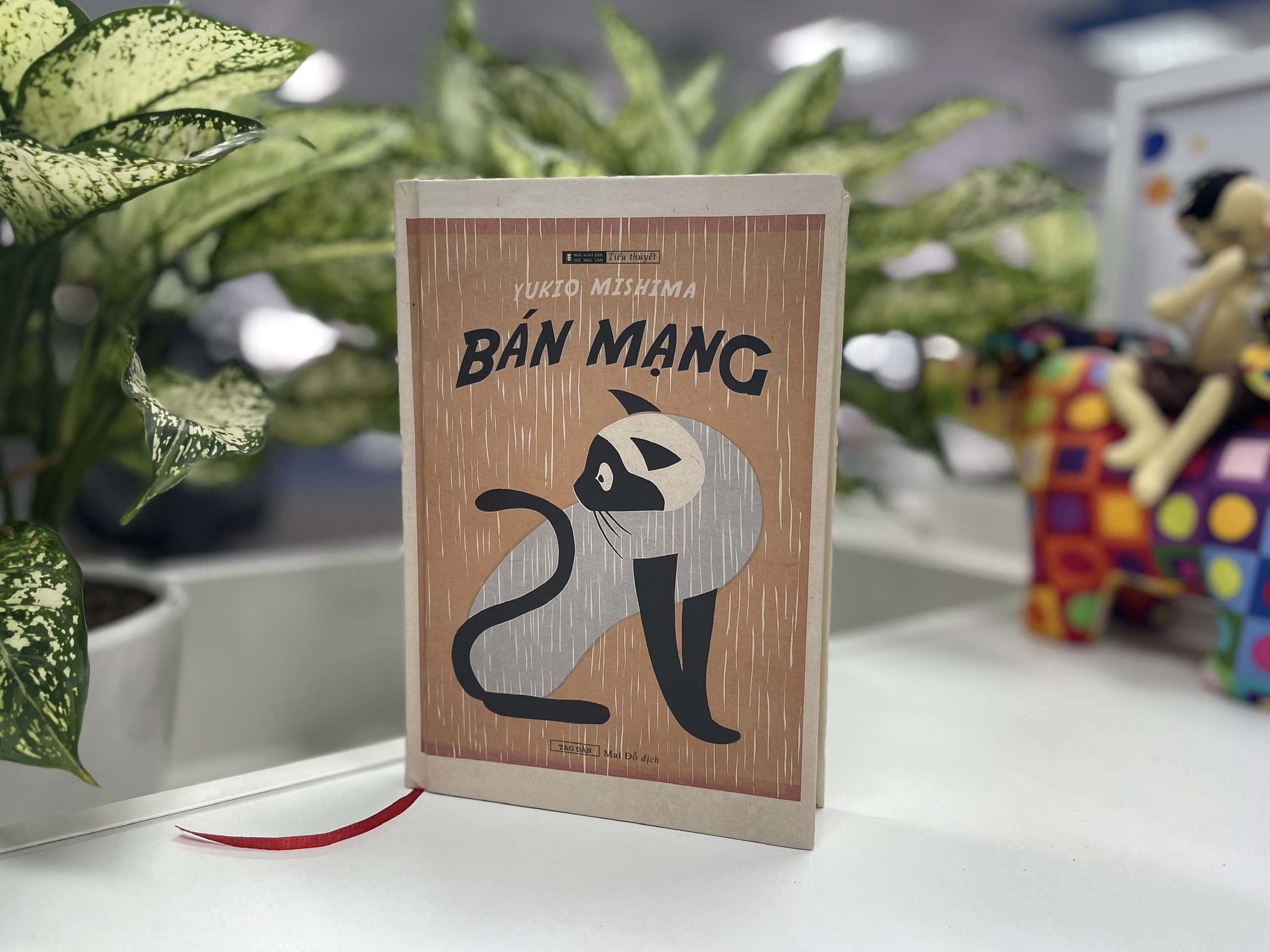 Tieu thuyet Ban mang anh 3