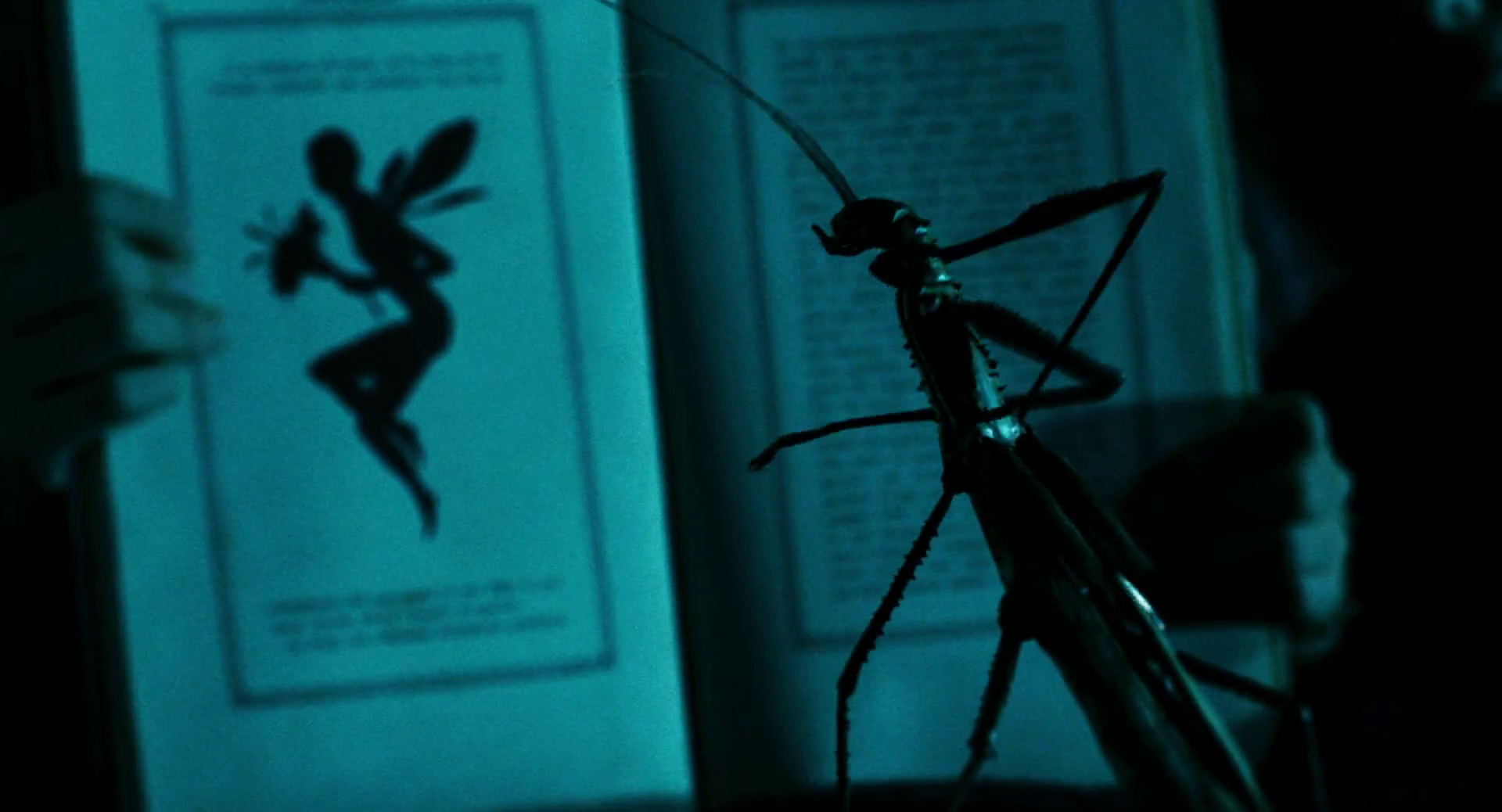 Me cung Than Nong anh 2