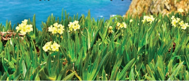 Noi dat lien ket thuc,  noi dai duong bat dau anh 2