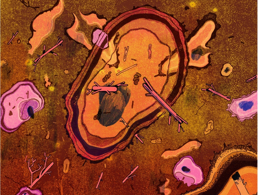 LUCA - to tien cua moi sinh vat hinh anh