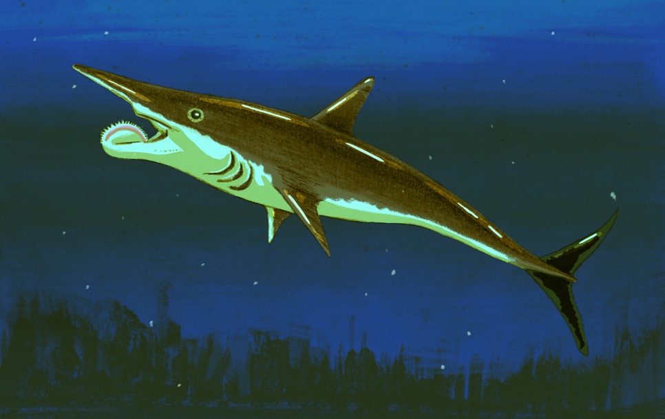 Ca map ma chimaera va cac sinh vat duoi nuoc hinh anh