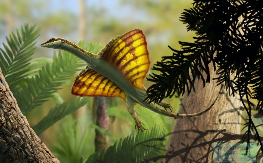 Nhung con than lan biet bay anh 2