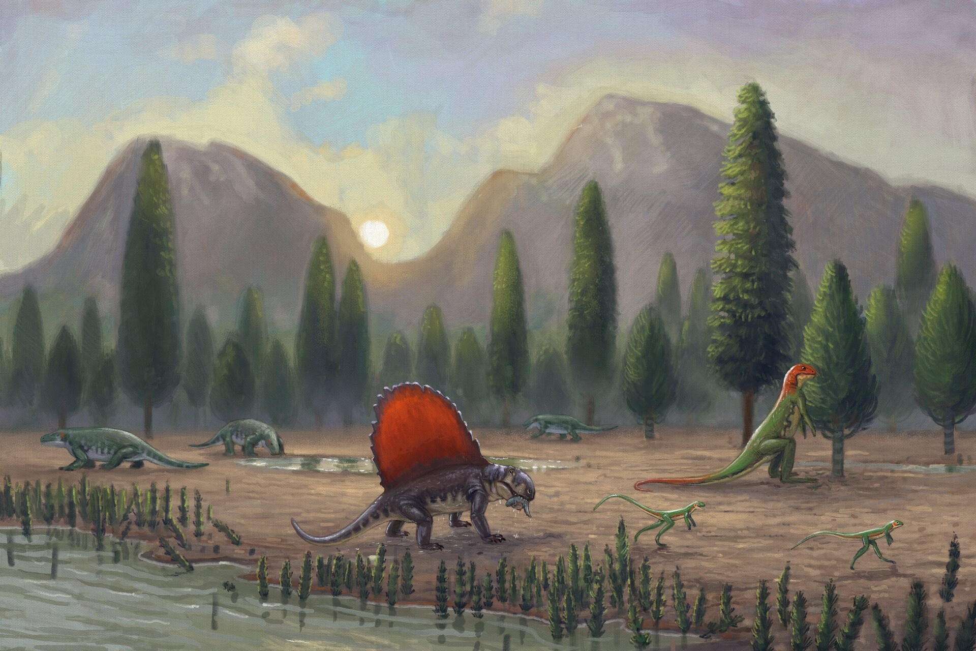 Nhung con than lan biet bay anh 1