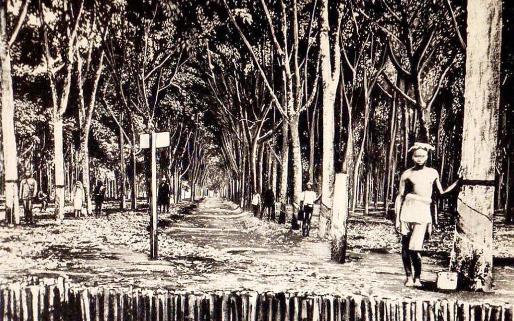 phong su dieu tra anh 1