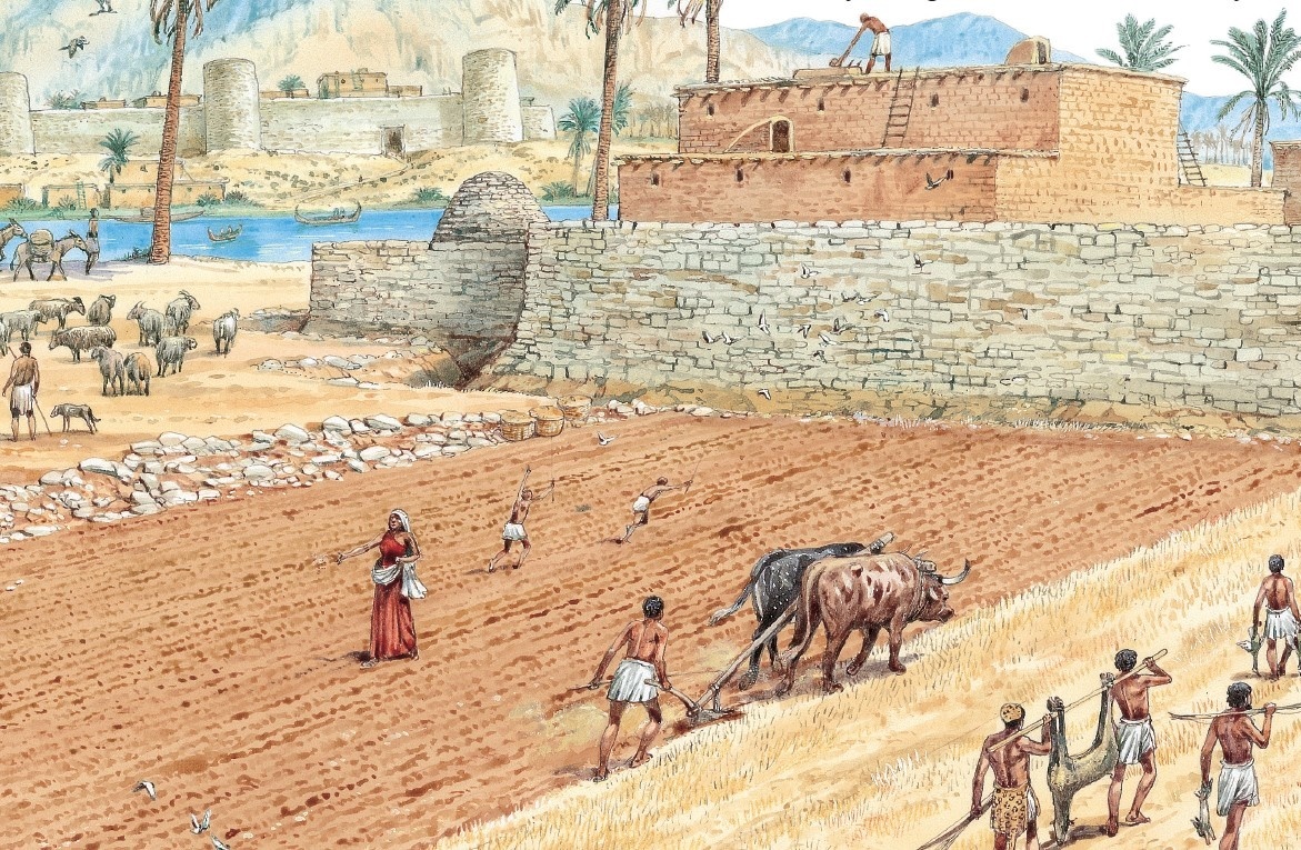 Khi tho san thanh nong dan, ho se khong quay lai nghe cu hinh anh