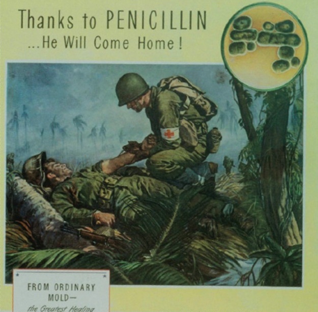 thuoc khang sinh anh 1