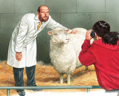 Chu cuu mang so hieu 6LL3 - Dolly duoc tao ra nhu the nao hinh anh