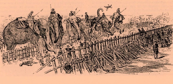 Luyen the thao de phong than thoi chua Nguyen hinh anh