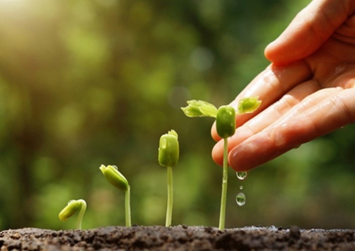 Phep mau cua tinh yeu thuong hinh anh