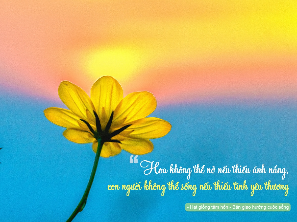 tinh yeu thuong anh 1