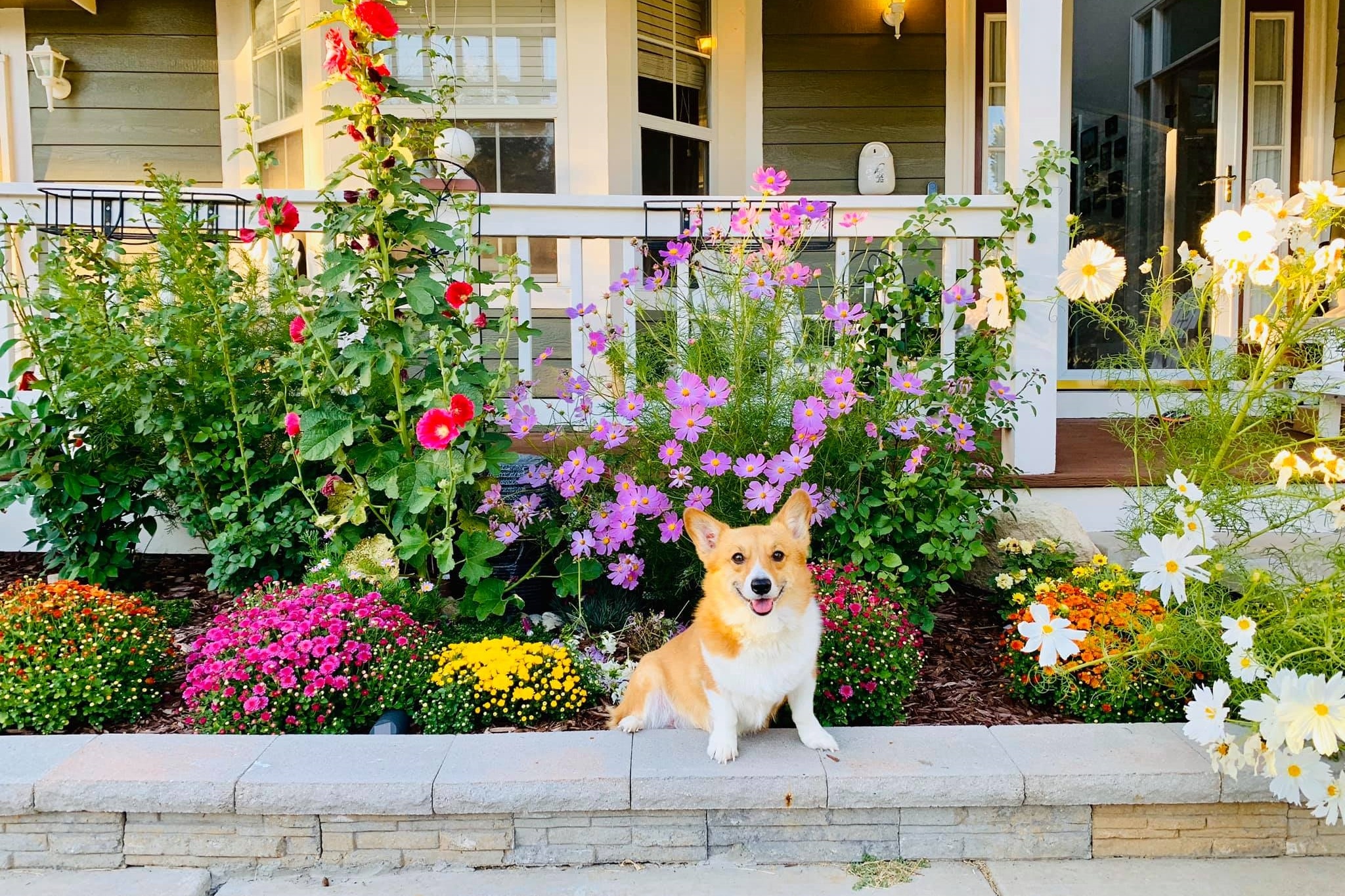 nhà nước ngoài ảnh 3 nha nuoc ngoai anh 3