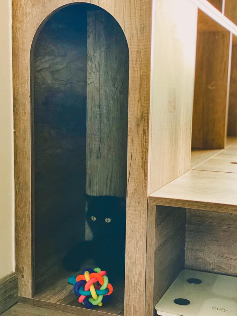 căn hộ ảnh 4 can ho anh 4