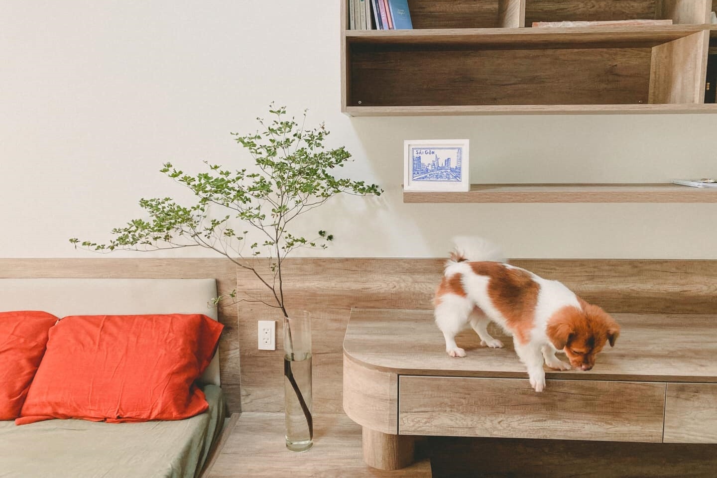 căn hộ ảnh 8 can ho anh 8