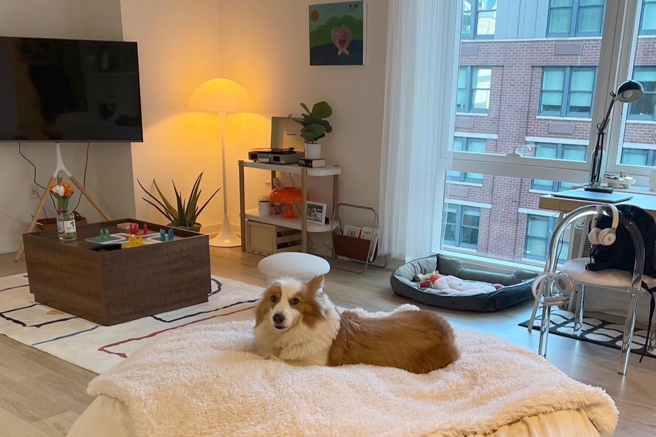 thuê nhà nước ngoài ảnh 7 thue nha nuoc ngoai anh 7