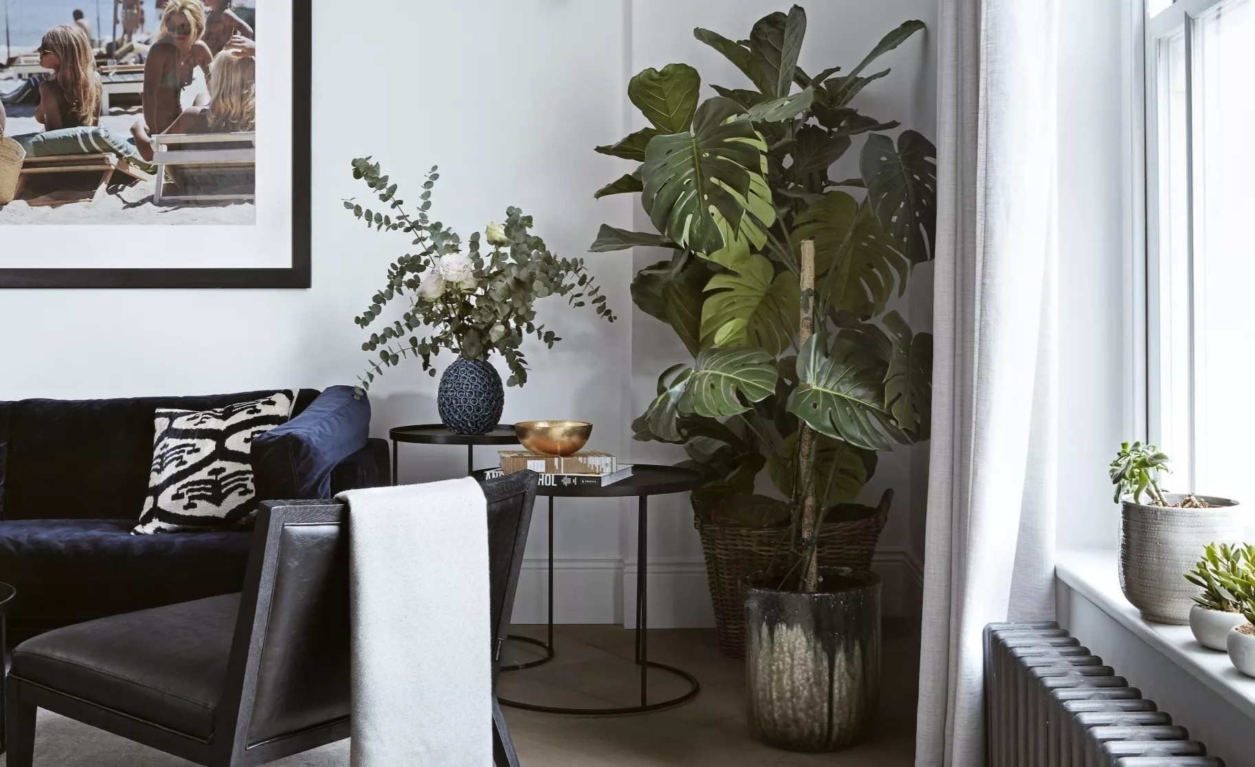 thiet ke ua sinh hoc anh 1