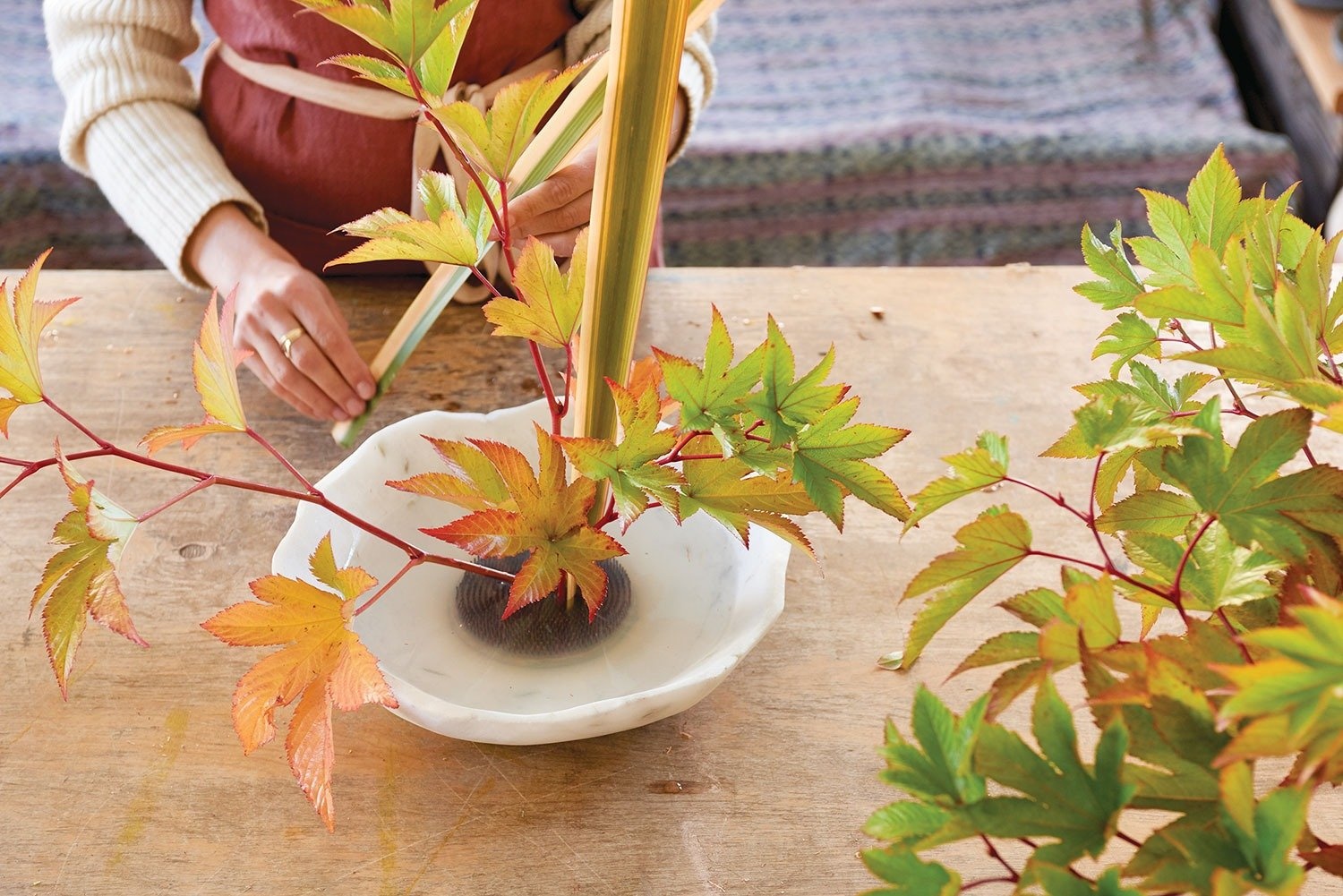 ikebana ảnh 7 ikebana anh 7