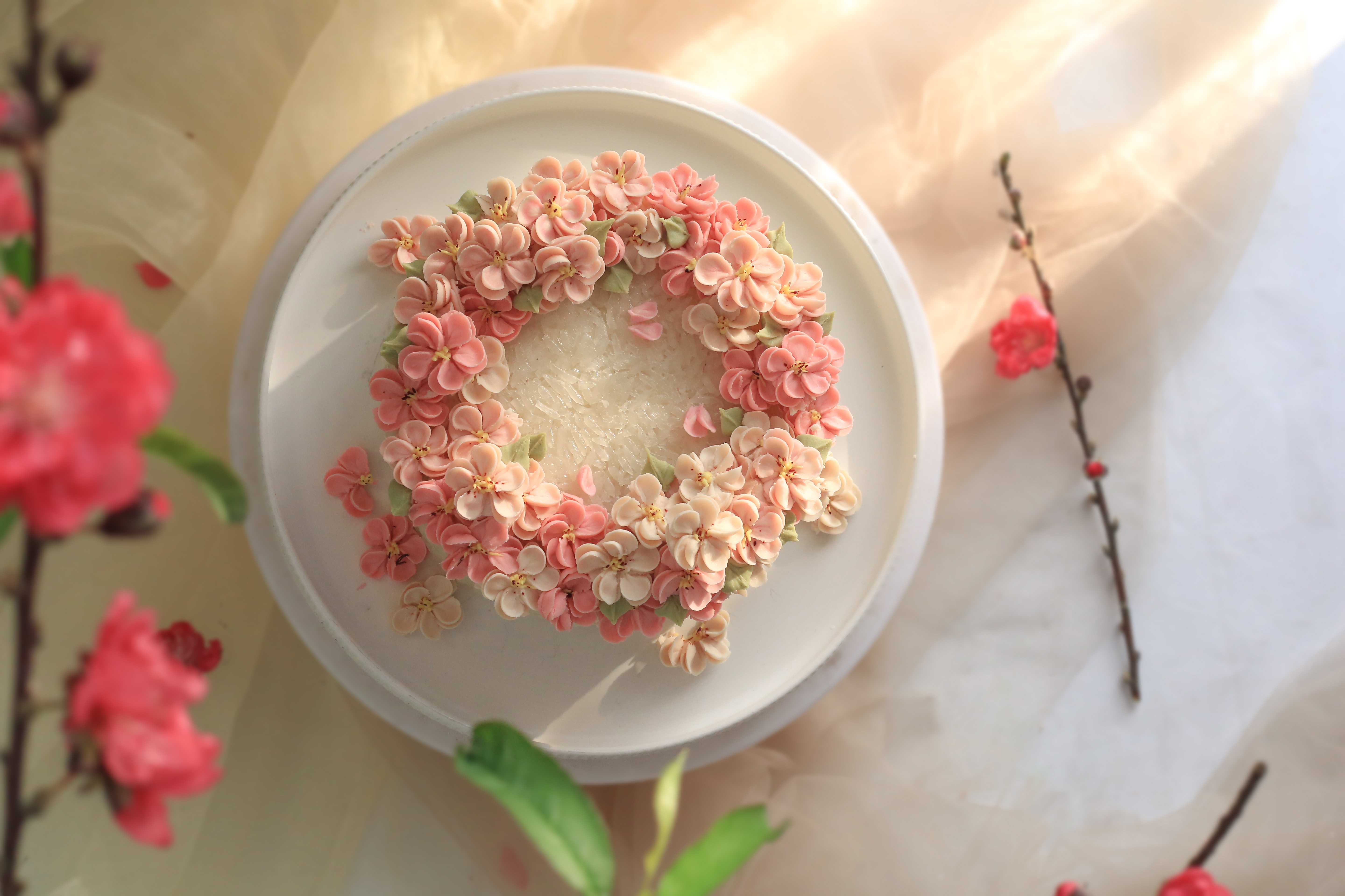 Mam co Tet doc la cua nguoi tre hinh anh