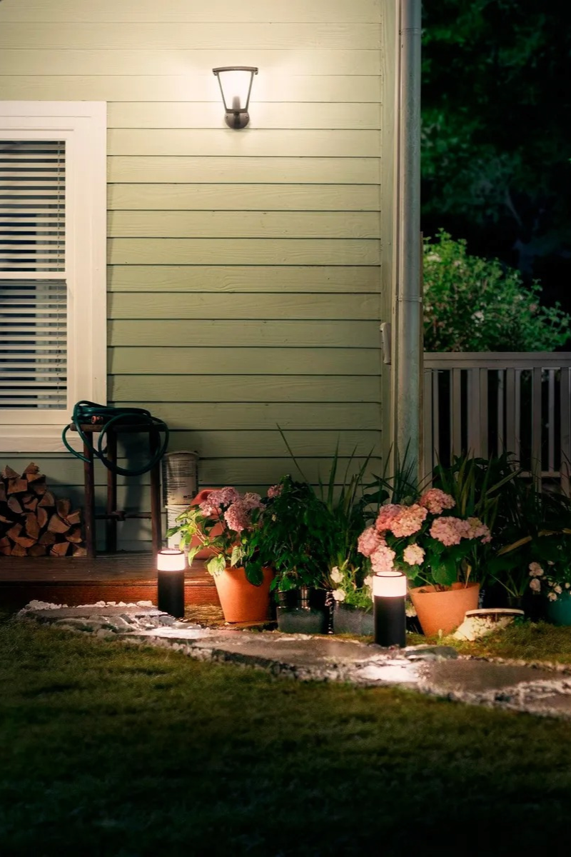 den chieu sang anh 16