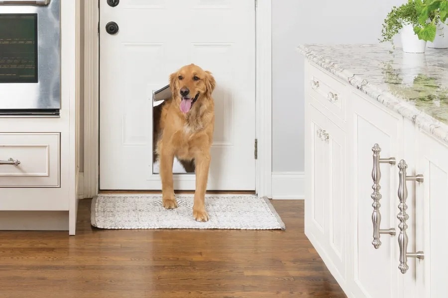 Y tuong noi that khi nguoi va thu cung chung song hinh anh