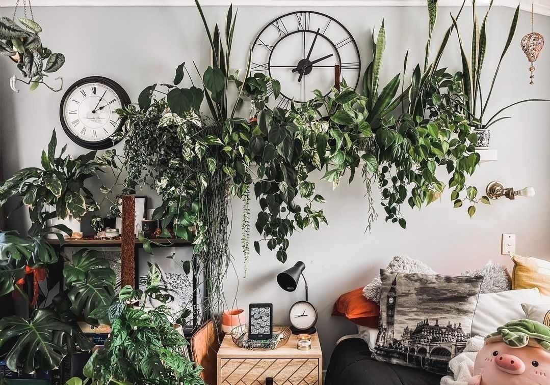 trang tri nha anh 12