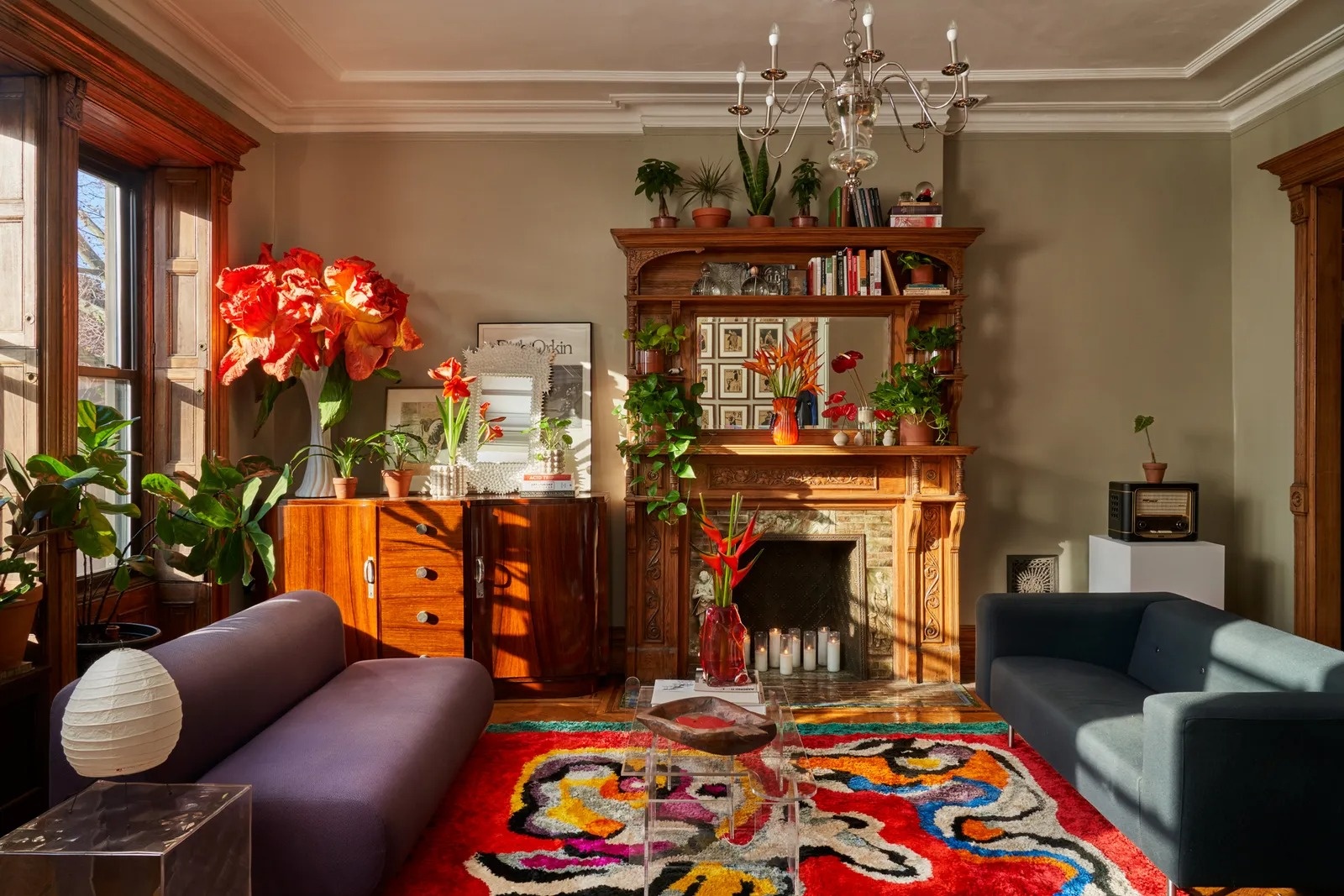 Mang rung vao trong nha voi xu huong Forestcore hinh anh