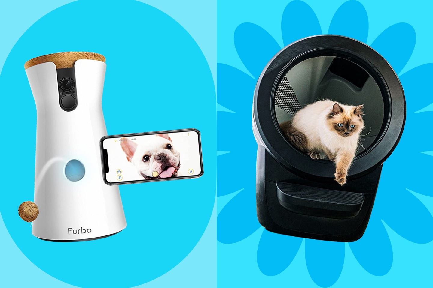 6 mon do thong minh danh cho nguoi nuoi thu cung hinh anh