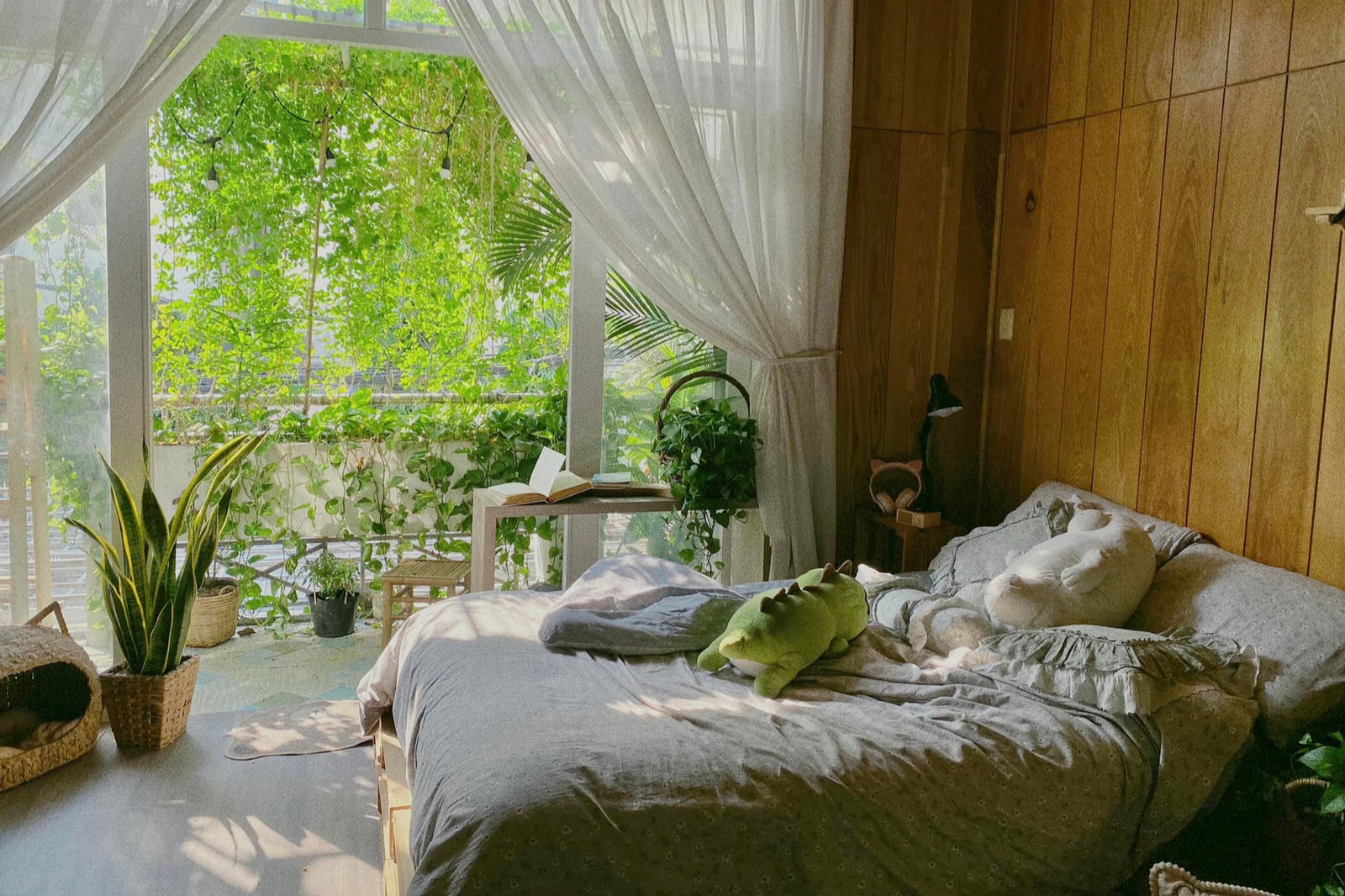 phòng trọ ảnh 7 phong tro anh 7