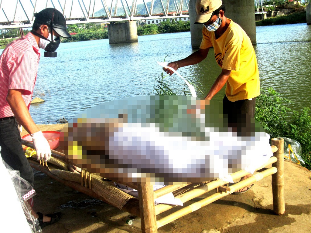 Buon gia dinh va thi khong tot, nam sinh nhay cau tu tu hinh anh